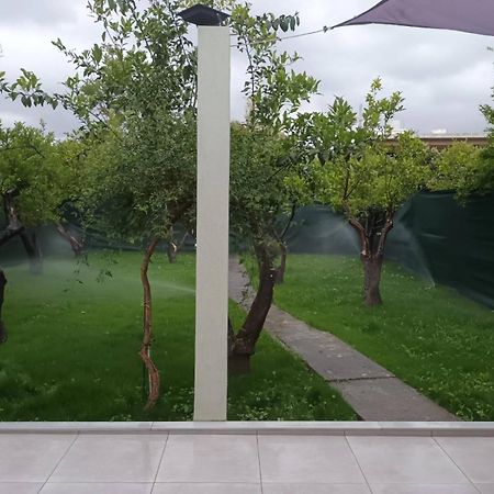 Olgas Cozy Home Chania  Екстер'єр фото